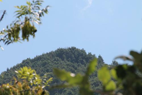 Bed & Breakfast Les Ecrins De Belvedere