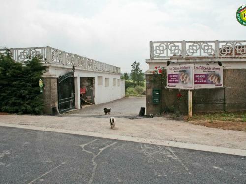 G�te Beuvrequen, 4 Pi�ces, 6 Personnes - Fr-1-376-24