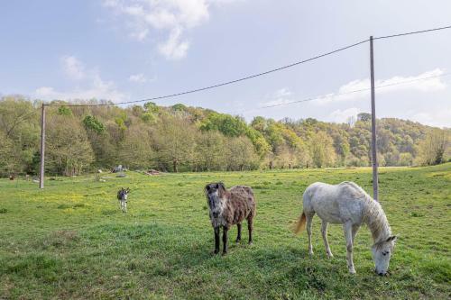 G�te Le Moulin Pocheluberry