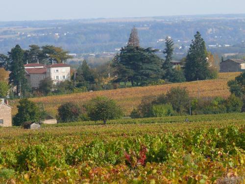 Ch�teau De Grandmont G�te