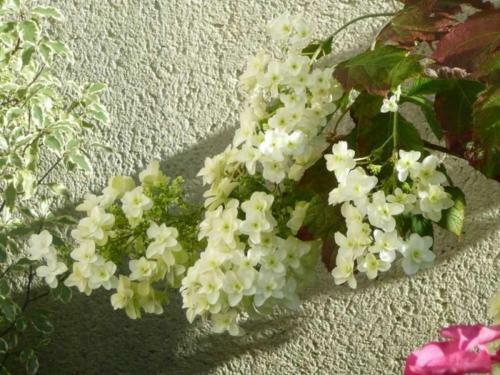 G�te Blain, 2 Pi�ces, 2 Personnes - Fr-1-306-1007