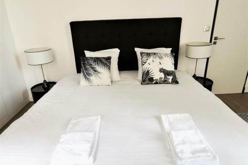 Fantastic Apartment Central Bordeaux