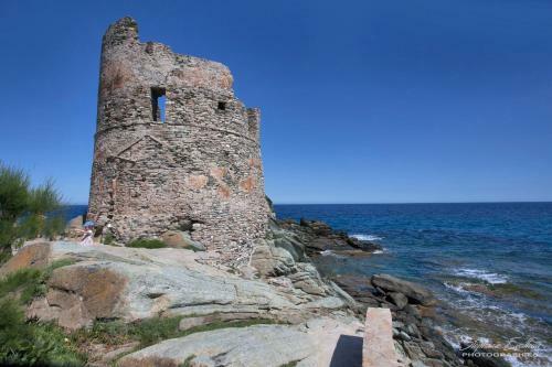 Casa Estel - Blue Apartment In Downtown Of Erbalunga