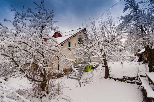 Apartament Turystyczny Kubaczka