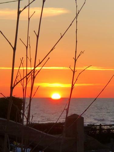 Apartamento L'appart � Cabourg- Villa St Laurent -