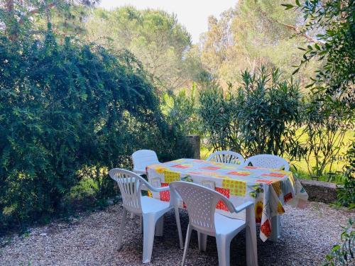 Apartamento Calvi - Studio Proche de La Plage - Studio F7