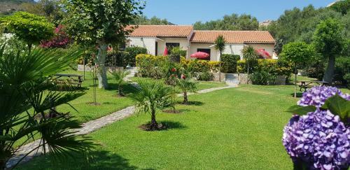 Apartamento Studio Acacia