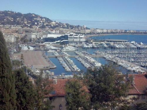 Apartamento In The Heart Of Cannes
