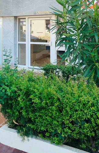 Apartamento Agence Anthalia California Palace