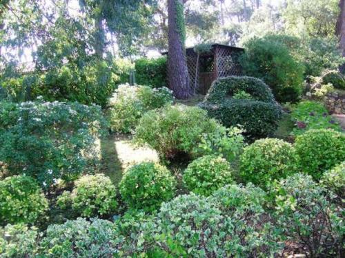 Maison Capbreton, 4 Pi�ces, 6 Personnes - Fr-1-247-3