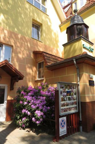 Hotel Cis