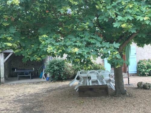 G�te Ch�teaudun, 3 Pi�ces, 4 Personnes - Fr-1-581-71