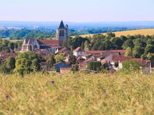 G�te Chavanges, 5 Pi�ces, 6 Personnes - Fr-1-543-144