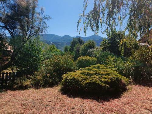 Bed & Breakfast Chambres D'h�tes - La Bonne �toile