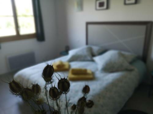 Hotel Au Comptoir Des Colettes
