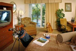 Hotel Best Western Royal Oak
