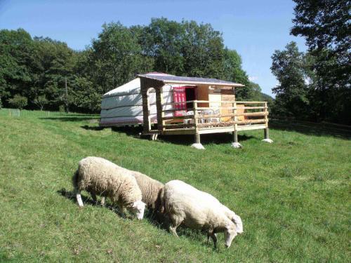 Bed & Breakfast Le Domaine Du Ch�telet