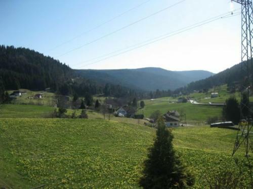 G�te G�rardmer, 3 Pi�ces, 4 Personnes - Fr-1-589-108