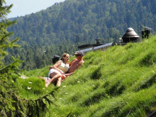 Bed & Breakfast Pensjonat Troll