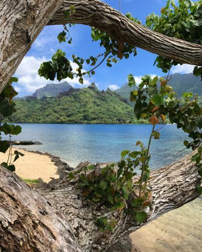 Robinson's Cove Villas