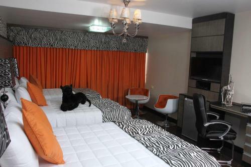 Hotel Luxsur