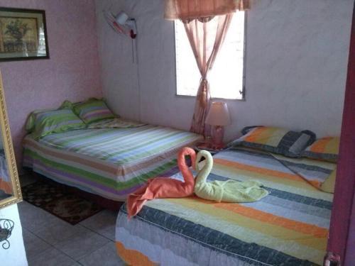 Albergue Hostal Cariguana
