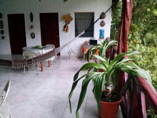 Albergue Hostal Cariguana