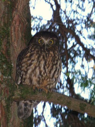 Anglers Paradise Motel