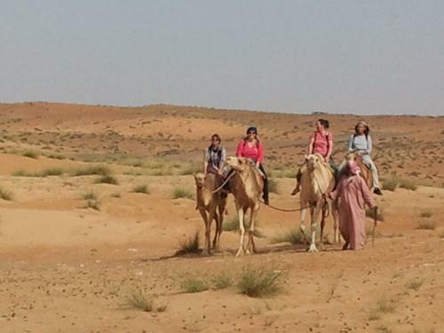 Desert Wonders Camp