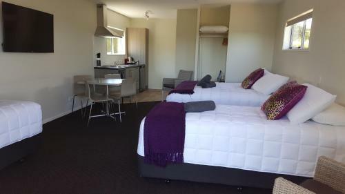 Motel Taupo Debretts Spa
