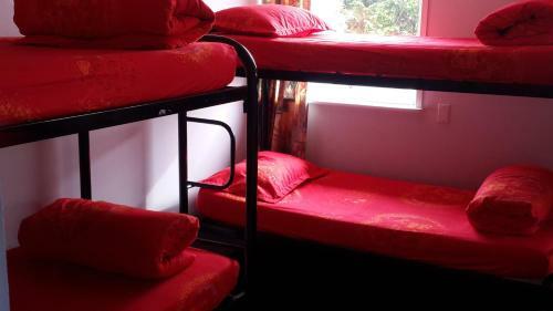 Albergue Berkenhoff Lodge