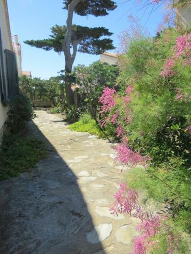 Apartamento Villa 8 Personnes Face Mer Acc�s Direct Plage