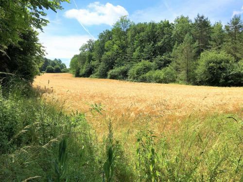 Gites La Source