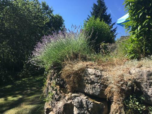 Gites La Source