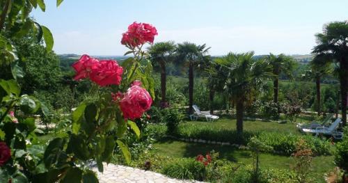 Apartamento Le Marquisat