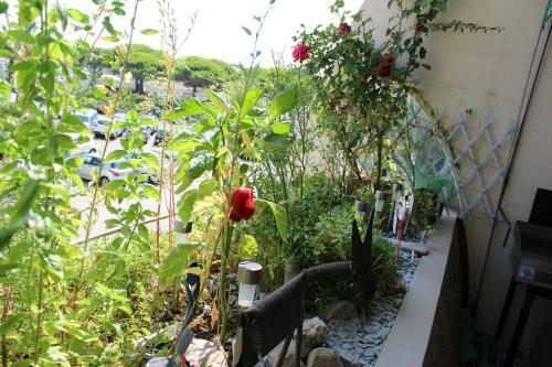Apartamentos Endless Summer 237 - Port Camargue, Plage Sud