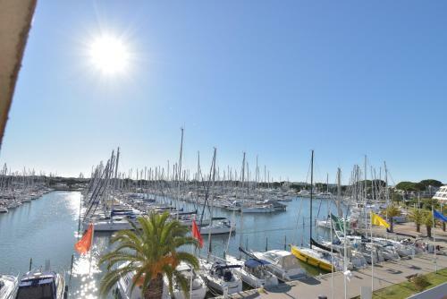 Apartamento Studio Cabine Coquet Vue Port Grau Du Roi D