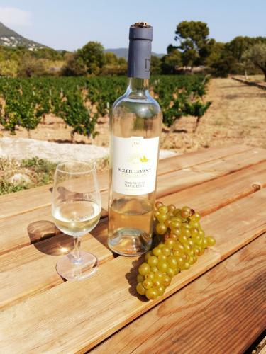 Domaine de La Navicelle - Cabernet
