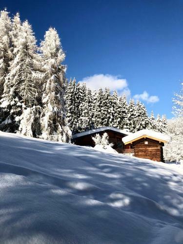 Apartamento Nouveau ! Chalet Mountain Vibes