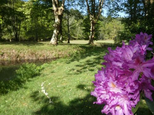 G�te Lesperon, 5 Pi�ces, 8 Personnes - Fr-1-360-15