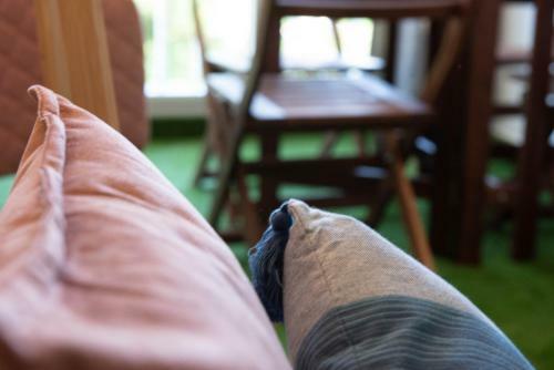 Apartamento Ma Location Sablaise - Appart' Les Pins
