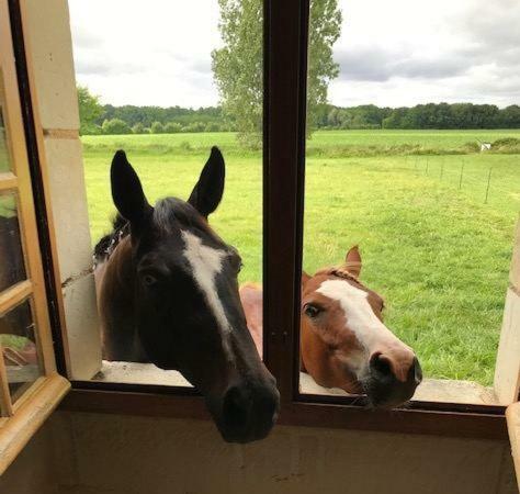 Bed & Breakfast Manoir de Chandoiseau