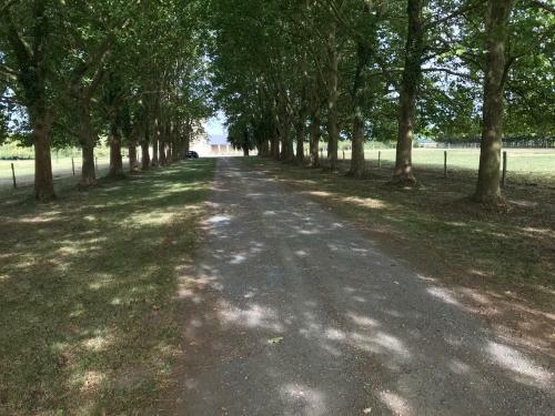 Bed & Breakfast Manoir de Chandoiseau