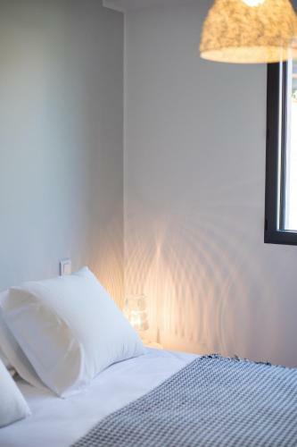 Apartamento Residence Petradoru