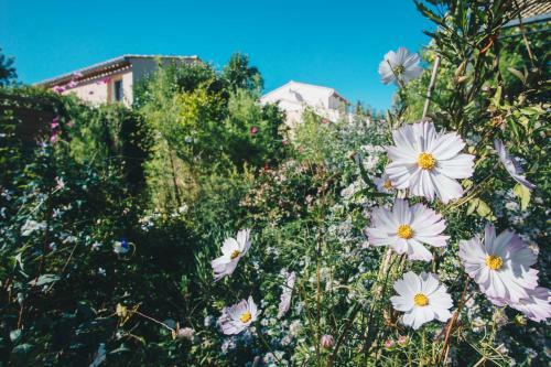 Apartamento Stunning Loft With Garden And Pool Ideal Location