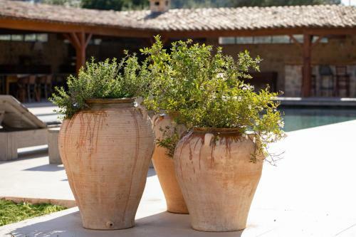 Bed & Breakfast Domaine de La Chapelle