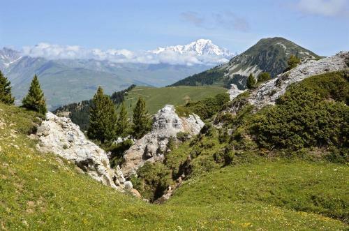 Apartamento R�sidence Phoenix - 3 Pi�ces Pour 7 Personnes 49