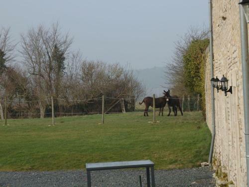 Spacious Farmhouse In Maisons With Terrace