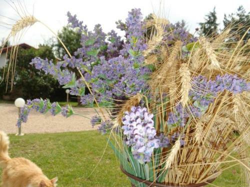 G�te Maringes, 3 Pi�ces, 4 Personnes - Fr-1-496-174