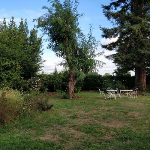 Hostal Parenth�se � Margaux - Maison D'h�tes